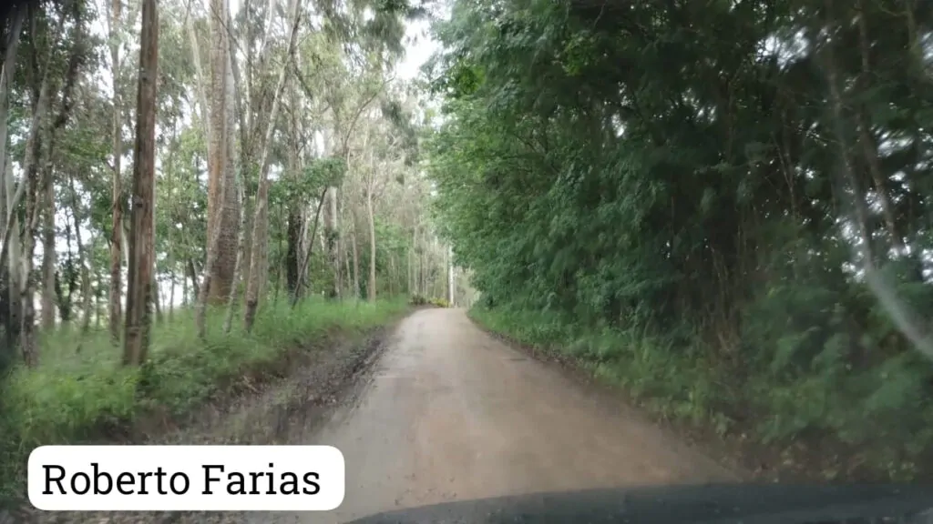 novamente-estamos-na-estrada-04